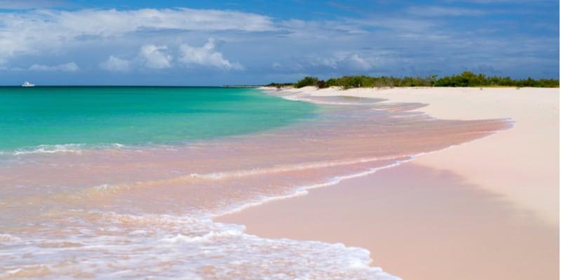 pink-sand-beach-barbuda-caraibi