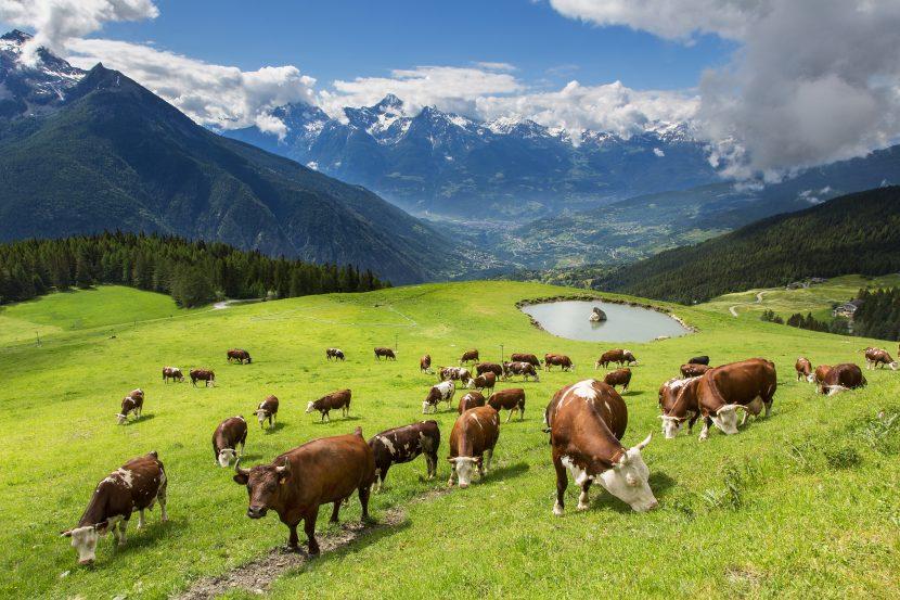 Valle d'Aosta