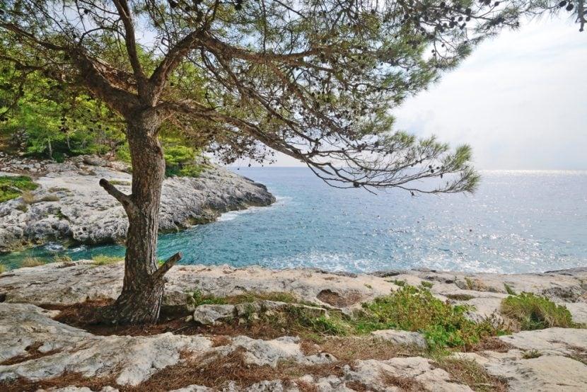 Cala Zio Cesare