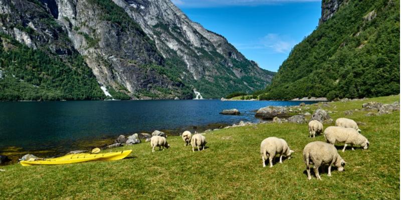 Nærøyfjord