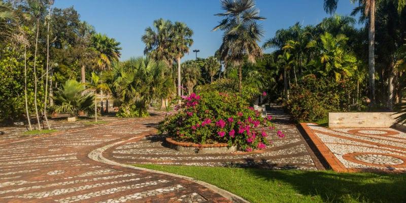botanischer-garten