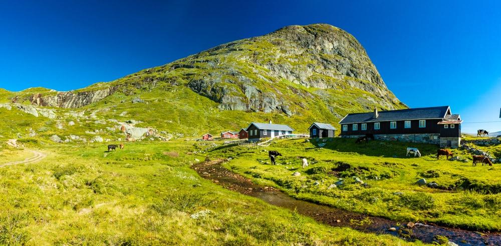 Nationalpark Jotunheimen