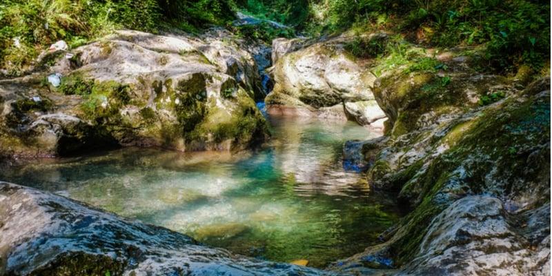 natürlicher_pool_1