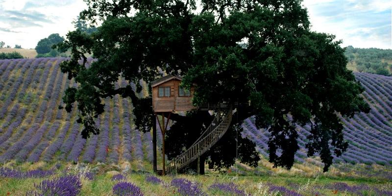 baumhaus-lavendel