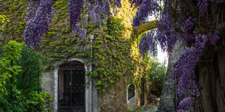 bussana-vecchia_3