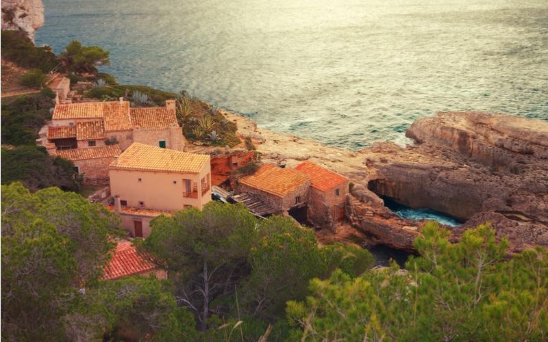 cala-salmonia