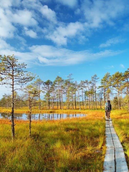 Nächster Urlaub in Estland: Was tun und sehen im Wunderland