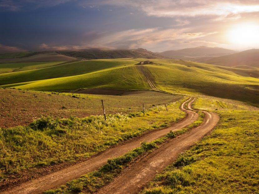 Magna Via Francigena