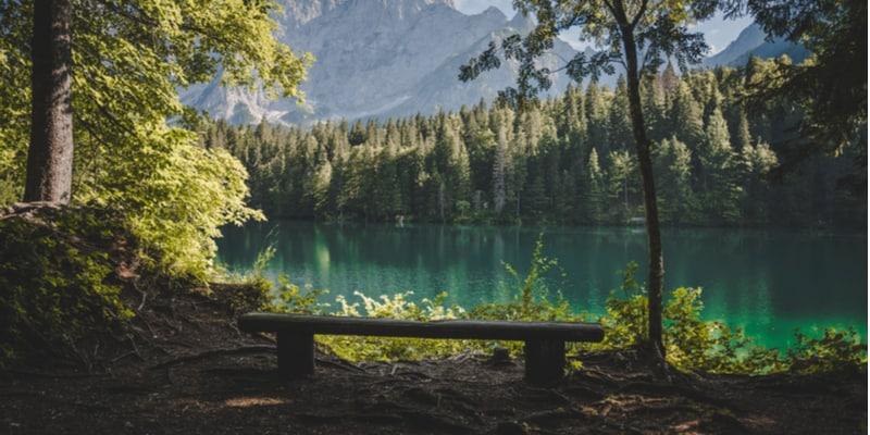 parco-fusine