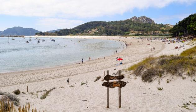 cies_1