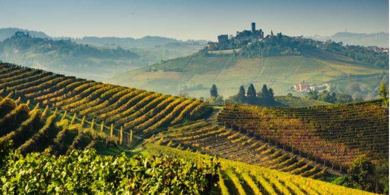 langhe-piemont