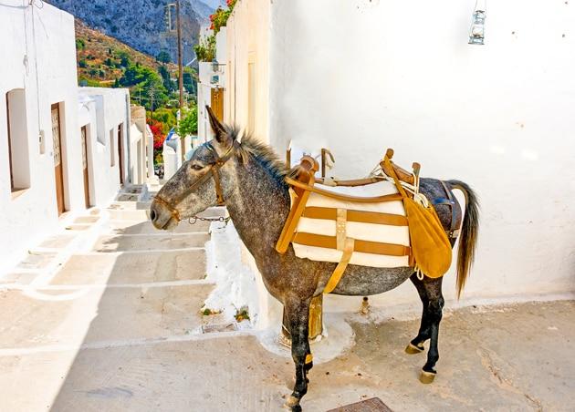 schöne-inseln-griechenland-amorgos