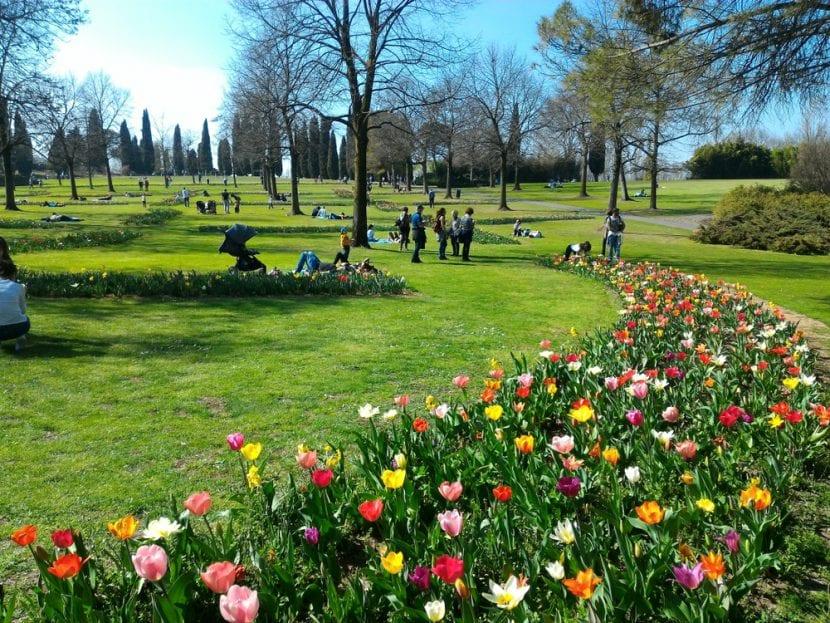 Tulpen im Parco Giardino Sigurtà