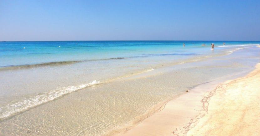 Maldiven des Salento: wie man nach Marina di Pescoluse gelangt
