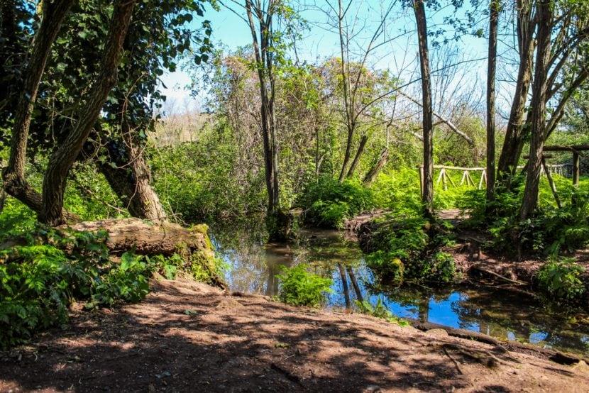 Park der Caffarella