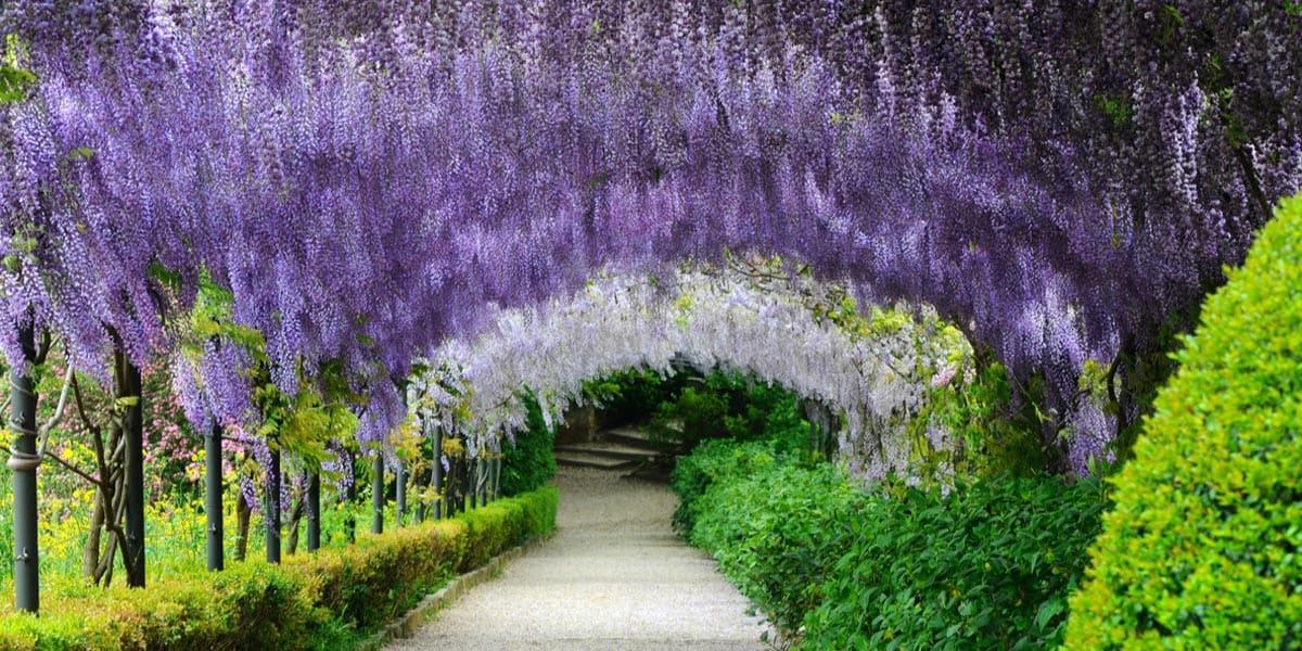 giardino-bardini