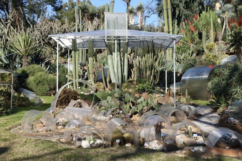 Orto Botanico