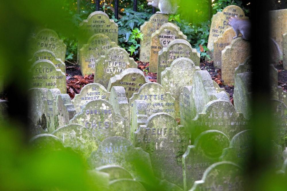 Haustierfriedhof