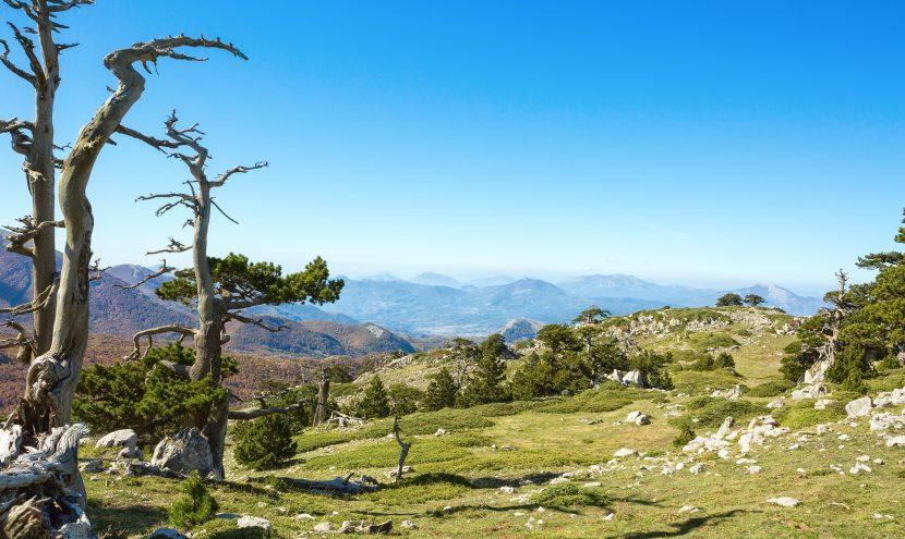 Parco del Pollino