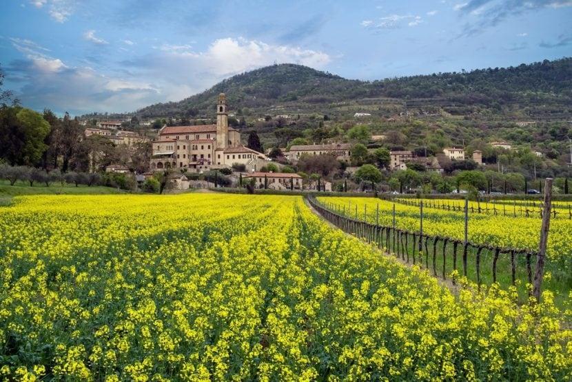 Arquà Petrarca