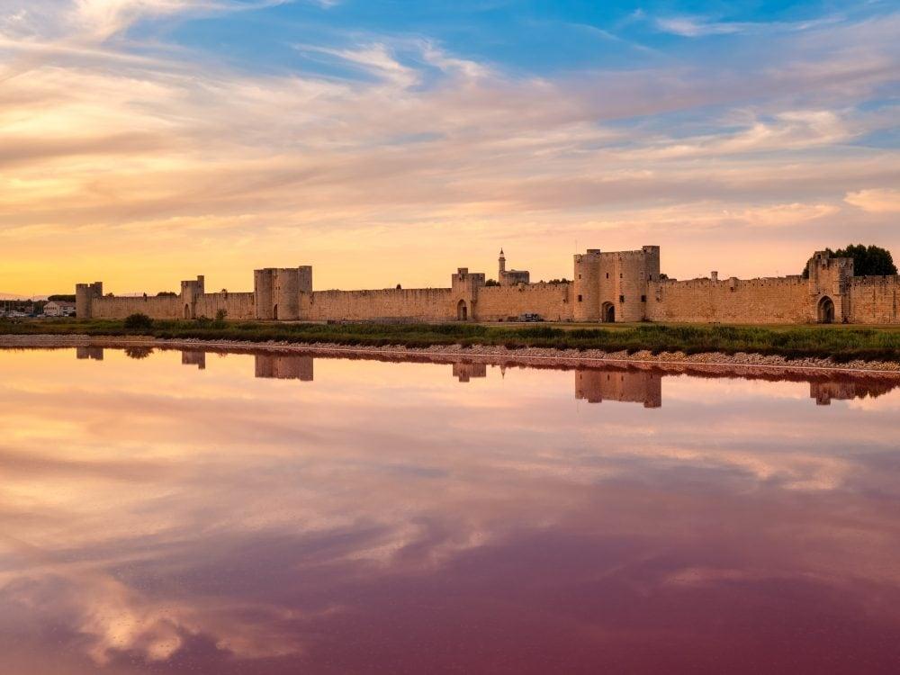 Was man in der Camargue sehen kann