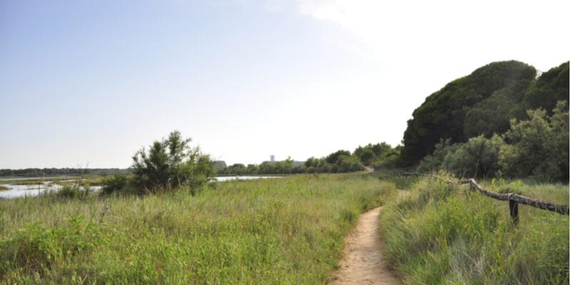 laguna-del-morto-eraclea-mare-veneto