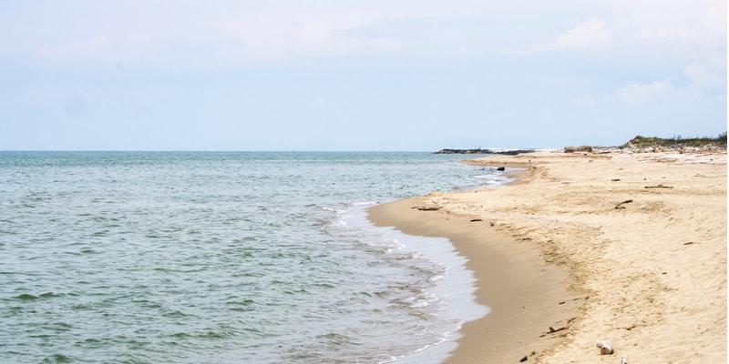 migliarino-marina-di-vecchiano-toscana