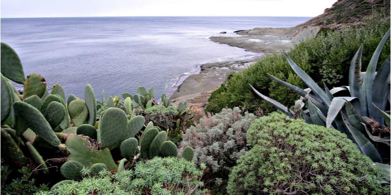 piscina-sardegna