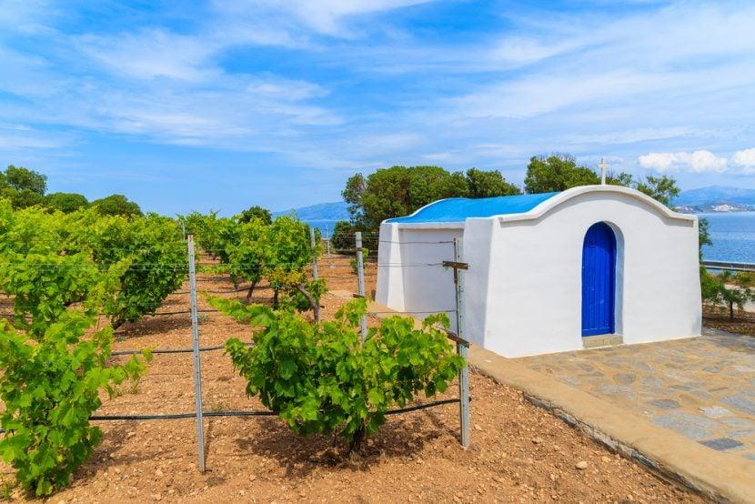 Weinberge Santorini