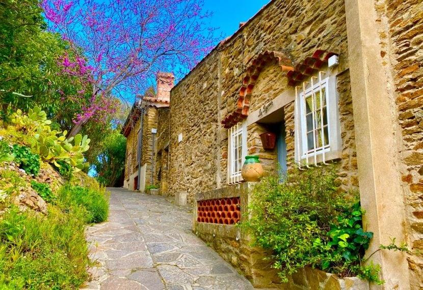 bormes les mimosas