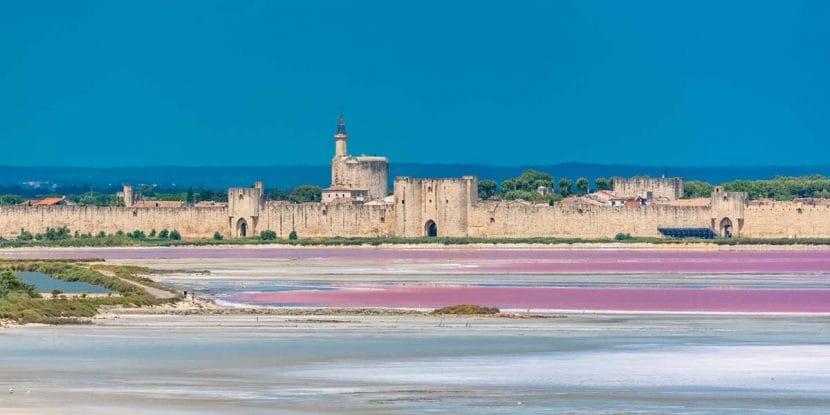 Was man in der Camargue sehen sollte