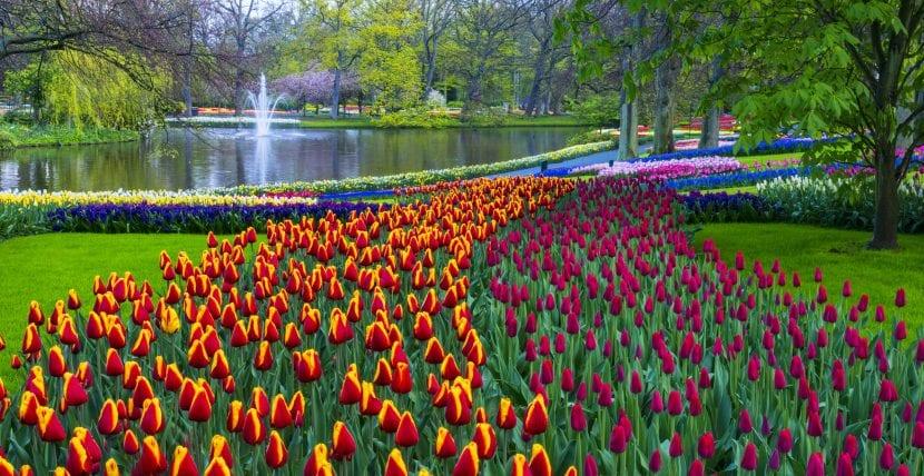 Niederlande Frühling
