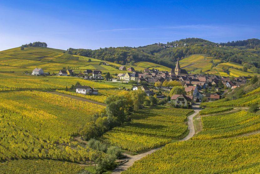 Weinstraße Alsace