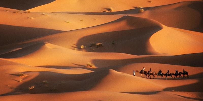 Sahara Wüste