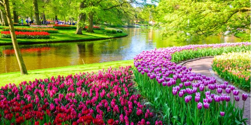 keukenhof-park