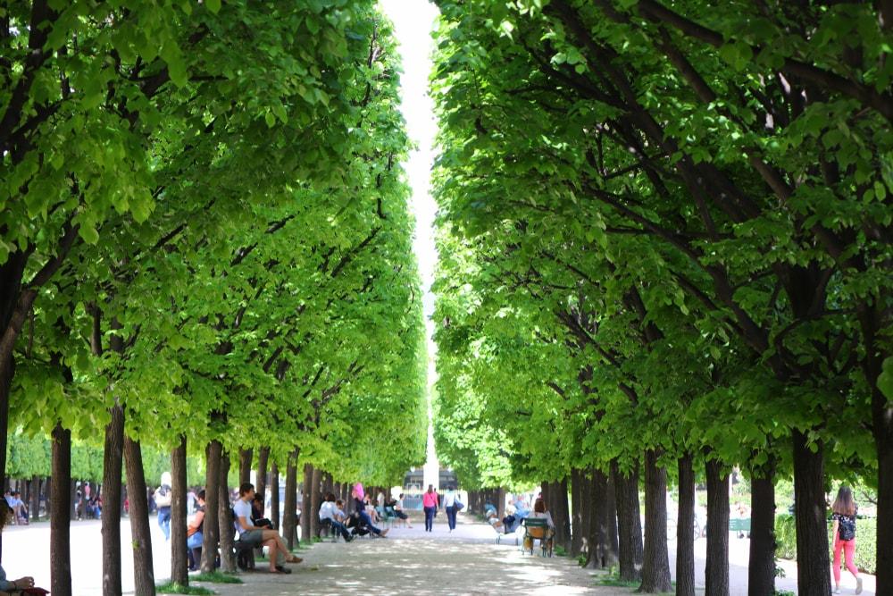 Jardin du Palais Royal