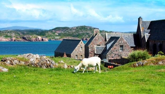 iona-immagini