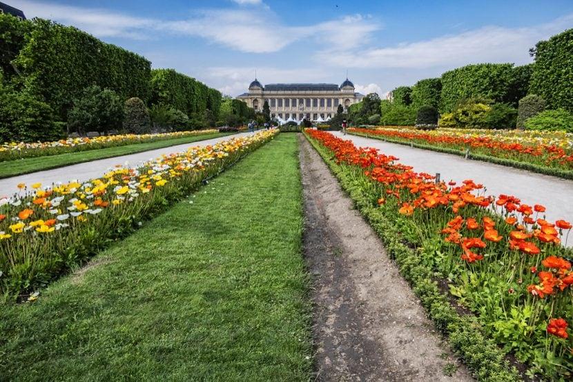 Jardin des Plants