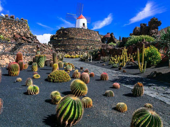 Lanzarote was man sehen sollte