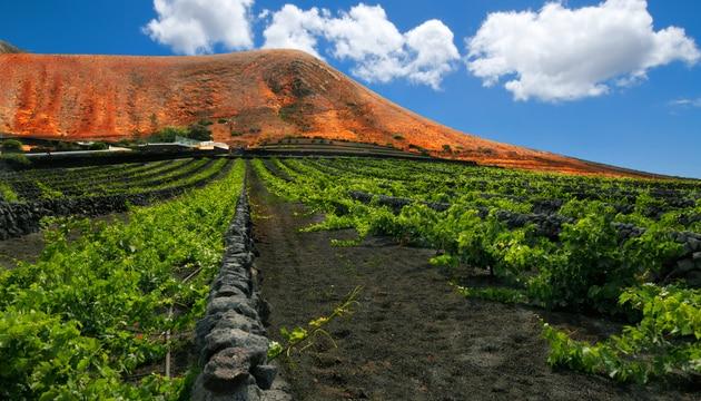 La Geria Lanzarote