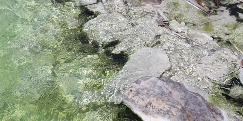 terme-segrete