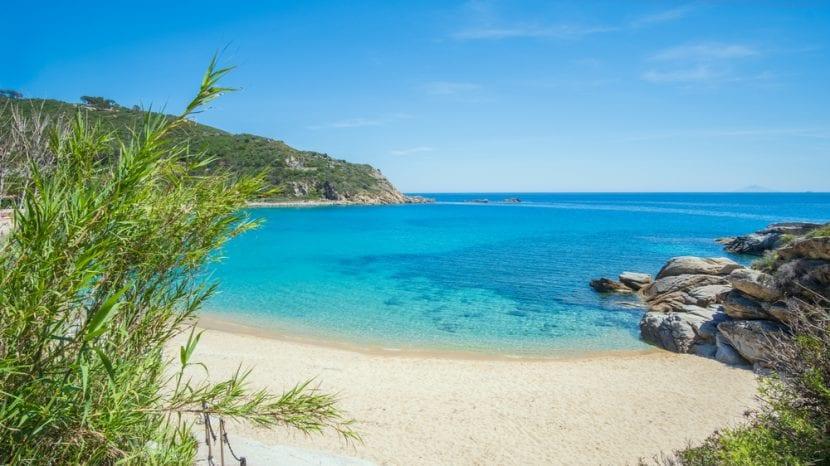 Spiaggia di cavoli