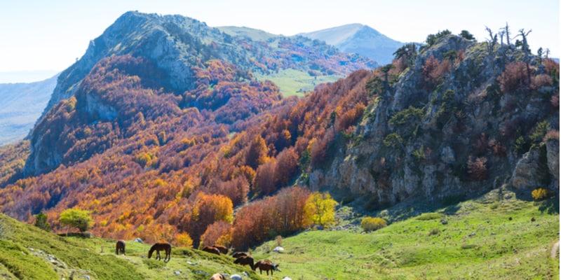 pollino_5