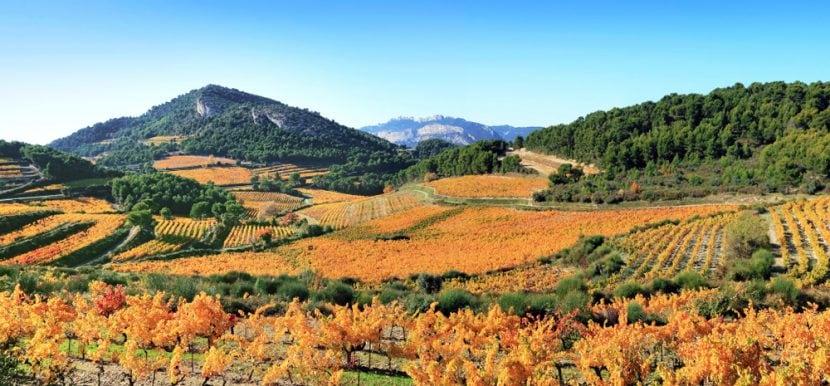 Herbst in der Provence