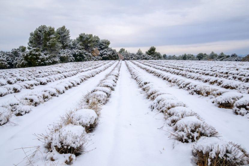 Provence im Winter