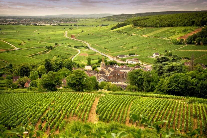 Burgund