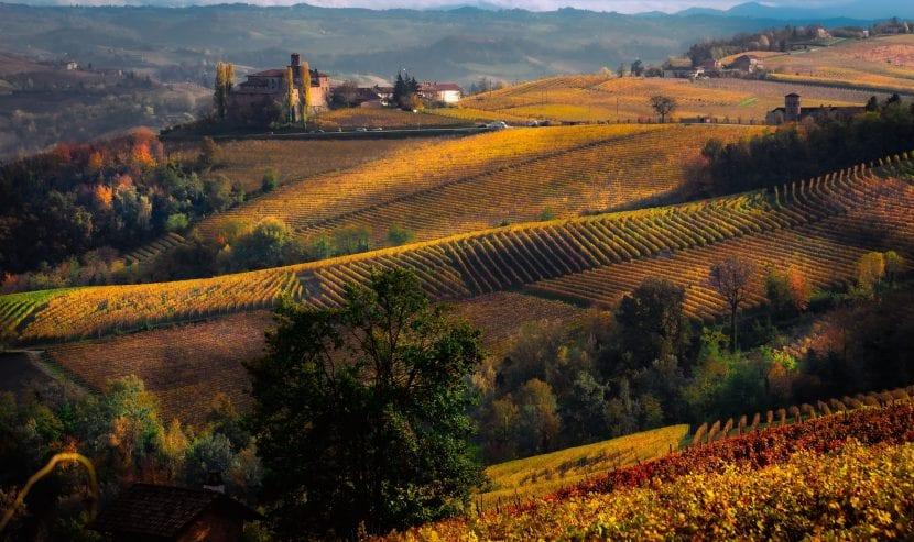Langhe