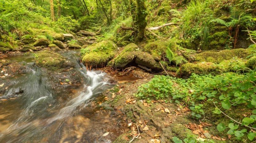Naturpark Fragas do Eume