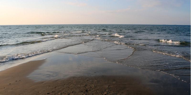 mare_12