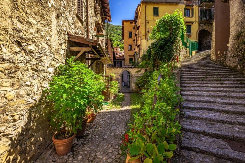 Nesso